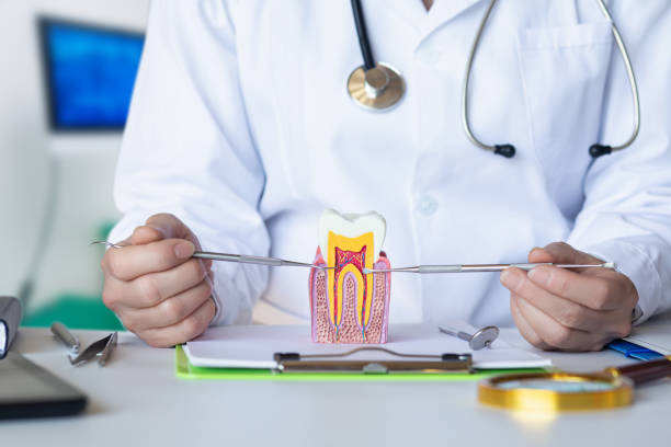 Best Weekend Emergency Dentist in Lincolnia, VA